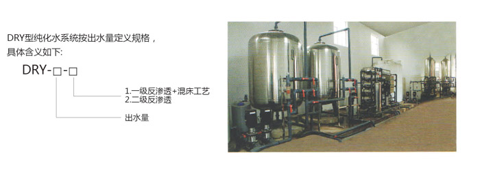 DRY型制藥用純化水系統